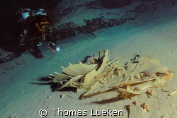 Turtle cave in sipadan, D200 by Thomas Lueken 